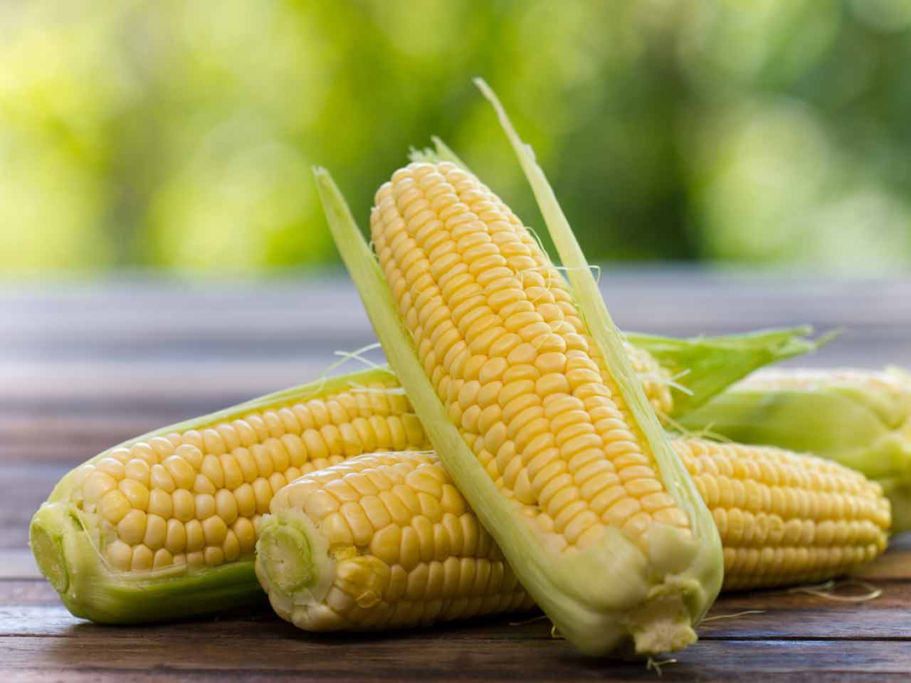 How To Grow Sweetcorn Saga