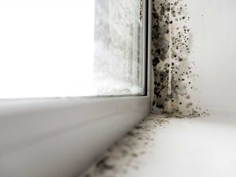 Control of dampness caused by condensation