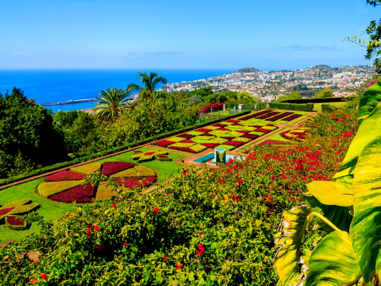 Tradition, culture and good times in Madeira - Saga