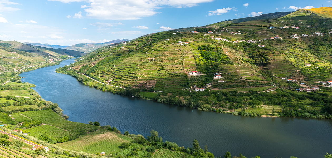 The Douro - Saga