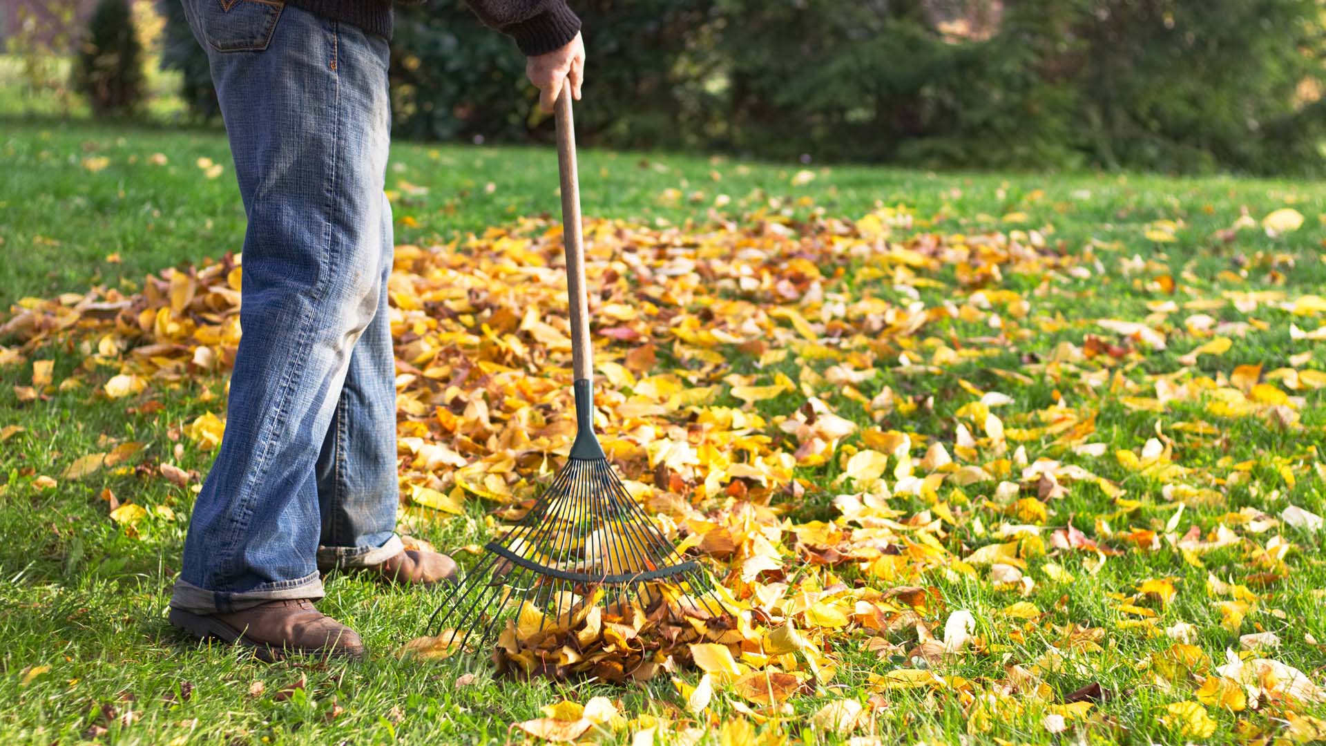 Don't forget to tidy up