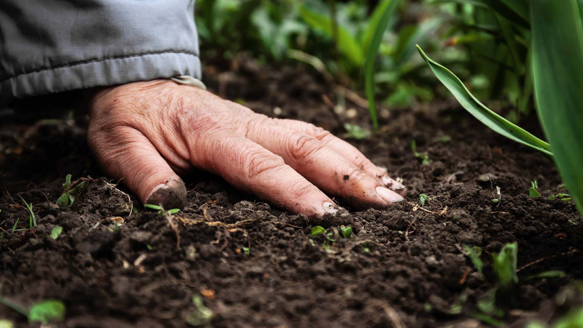 Close-up of a hand pressed into soil.