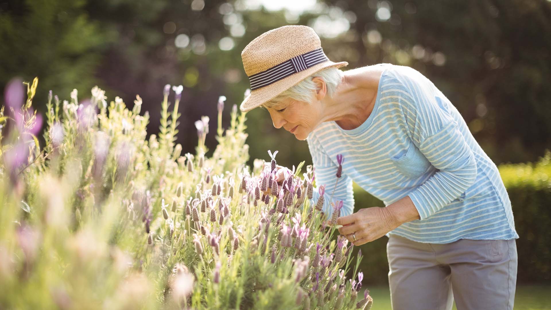 Make a note of jobs to do while walking around your garden