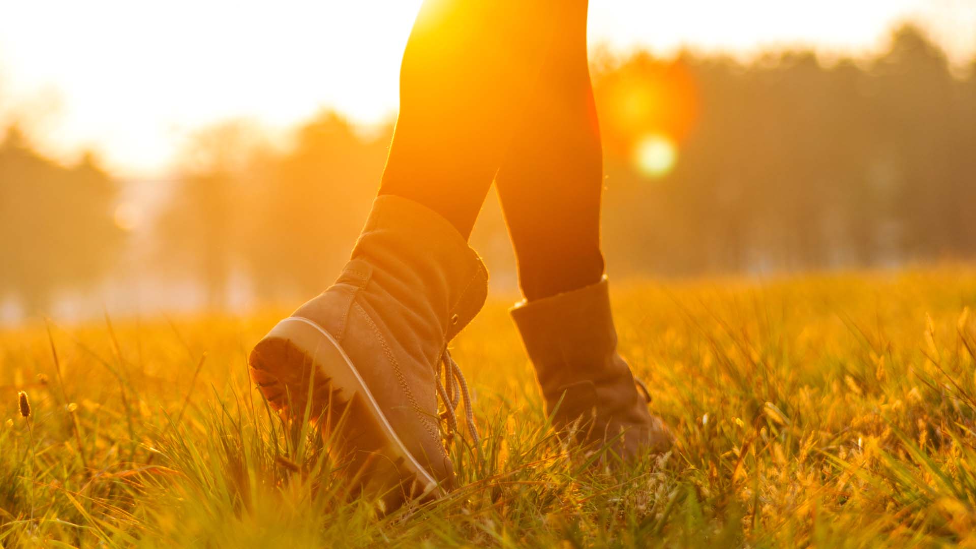 walking in a field during sunset