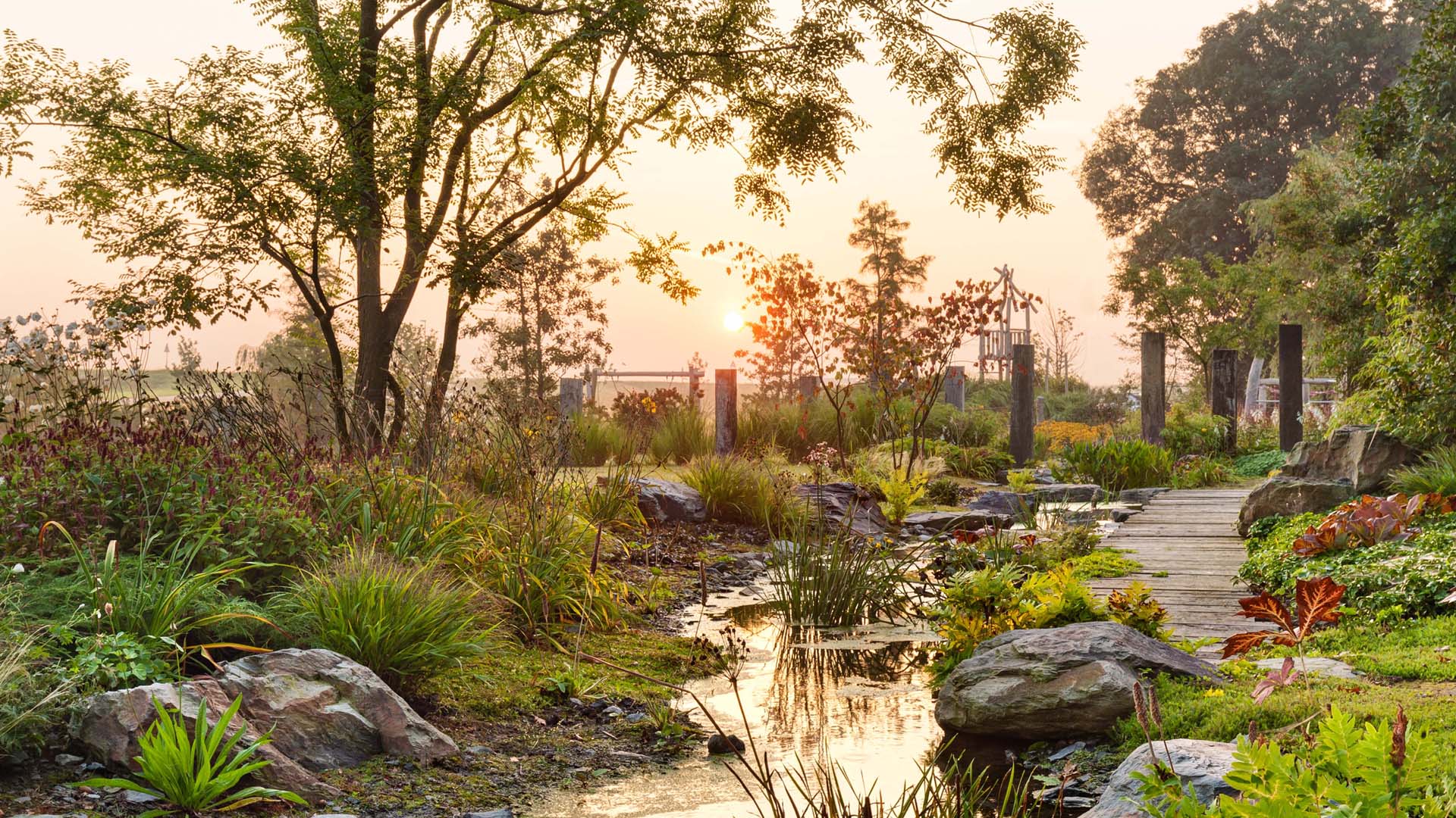 The Stream Garden is shown here in all its glory in the first morning light