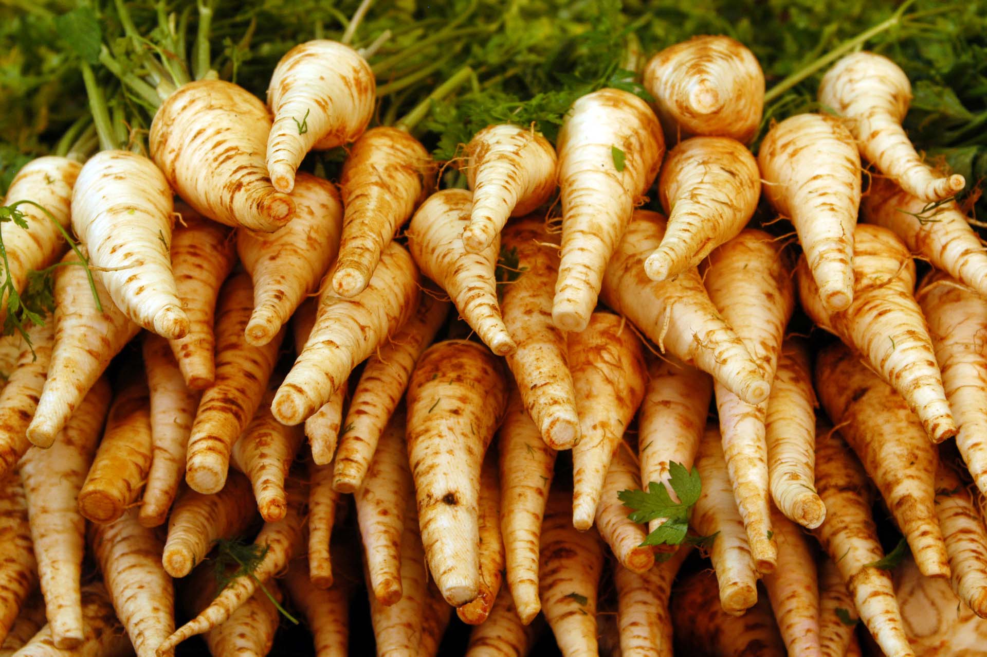 Parsnips contain a range of nutrients that provide benefits for your health.