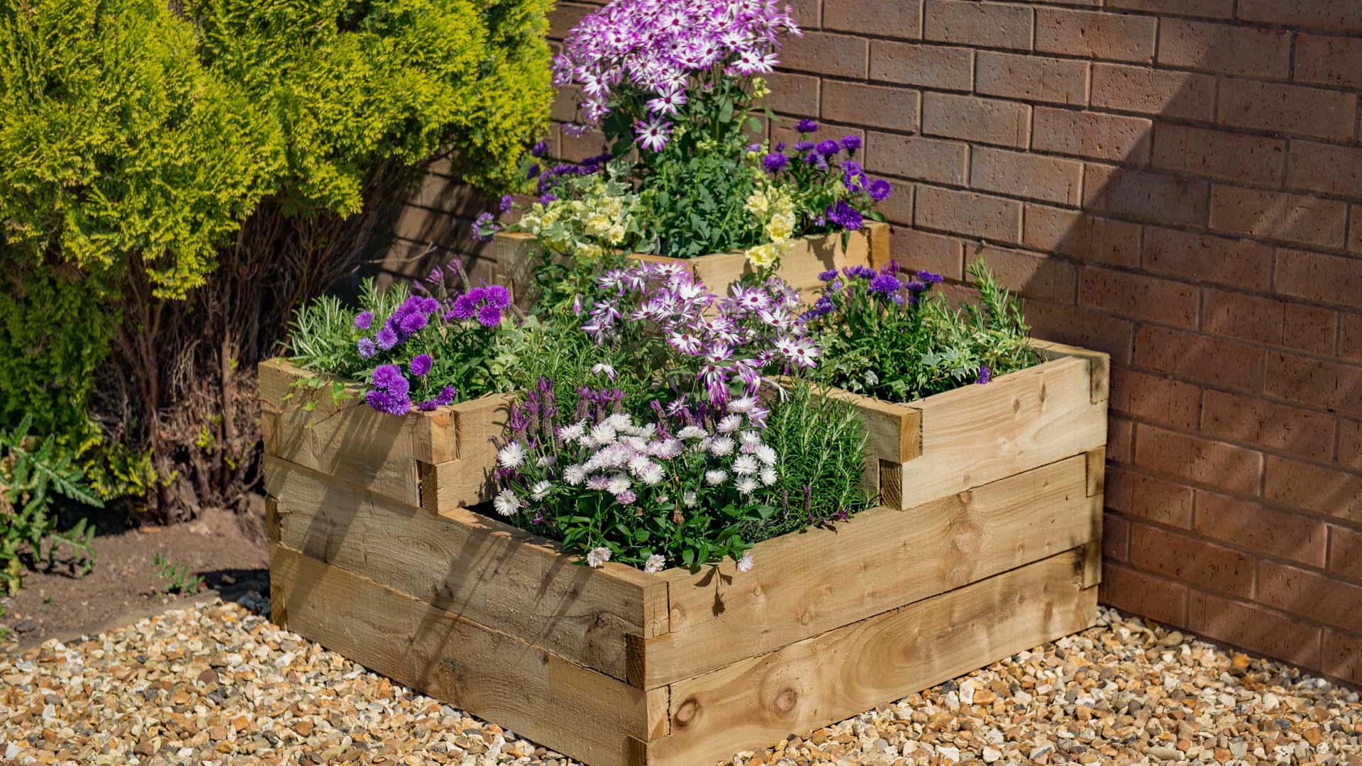 a gravel garden with wooden stepped planters full of flowers
