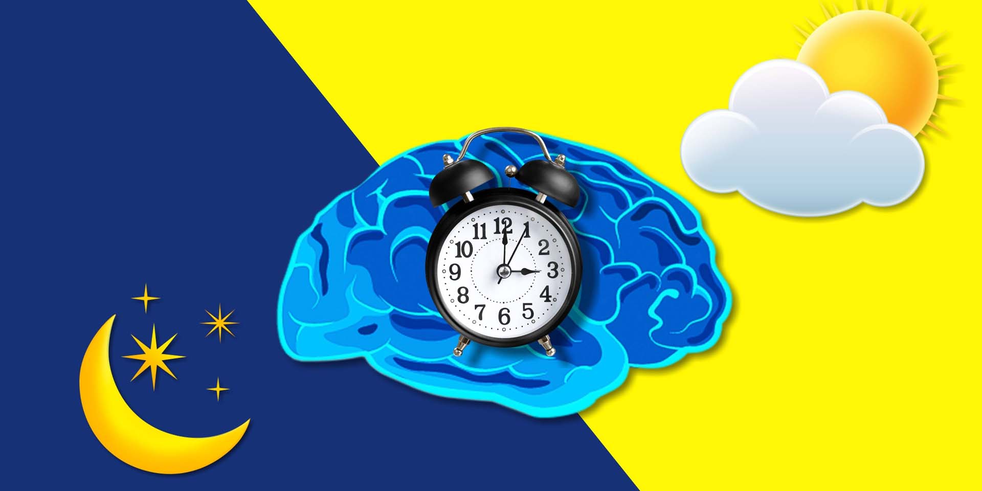 An illustration of a brain with a clock in the middle, against a dark blue and yellow background with a moon and sun to represent the circadian clock