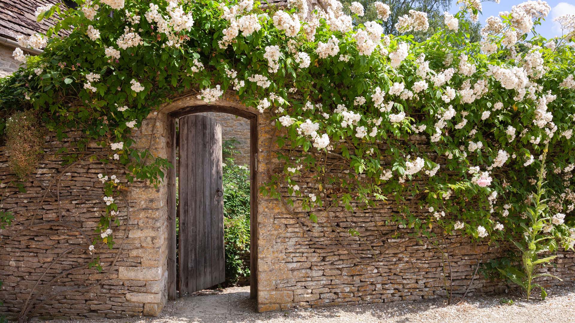 A doorway covered in flowers in a pretty walled garden 