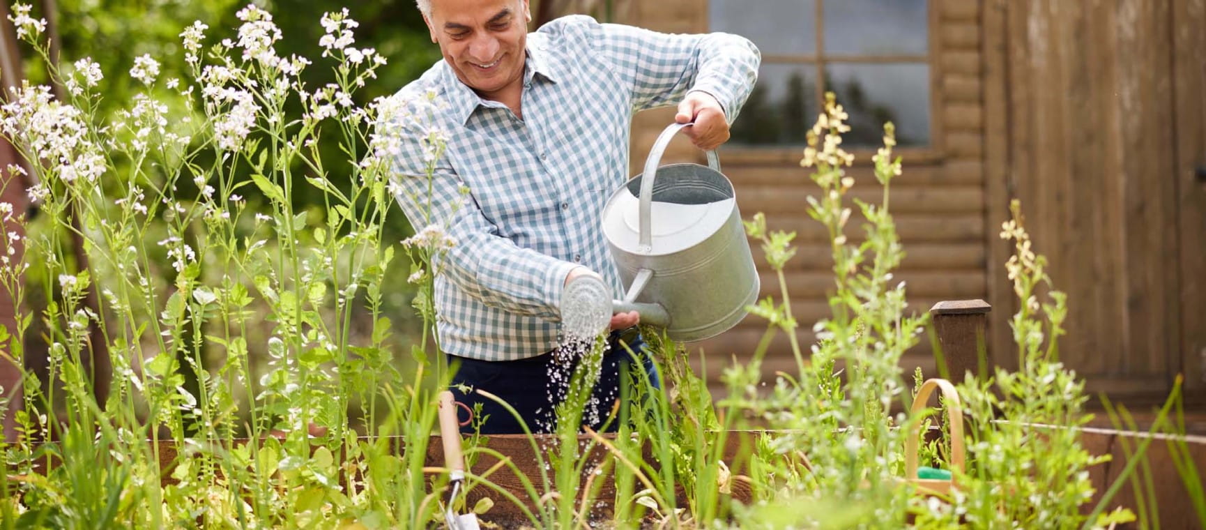 Raised bed gardens can provide easier access to planting jobs |  Shutterstock/Daisy Daisy