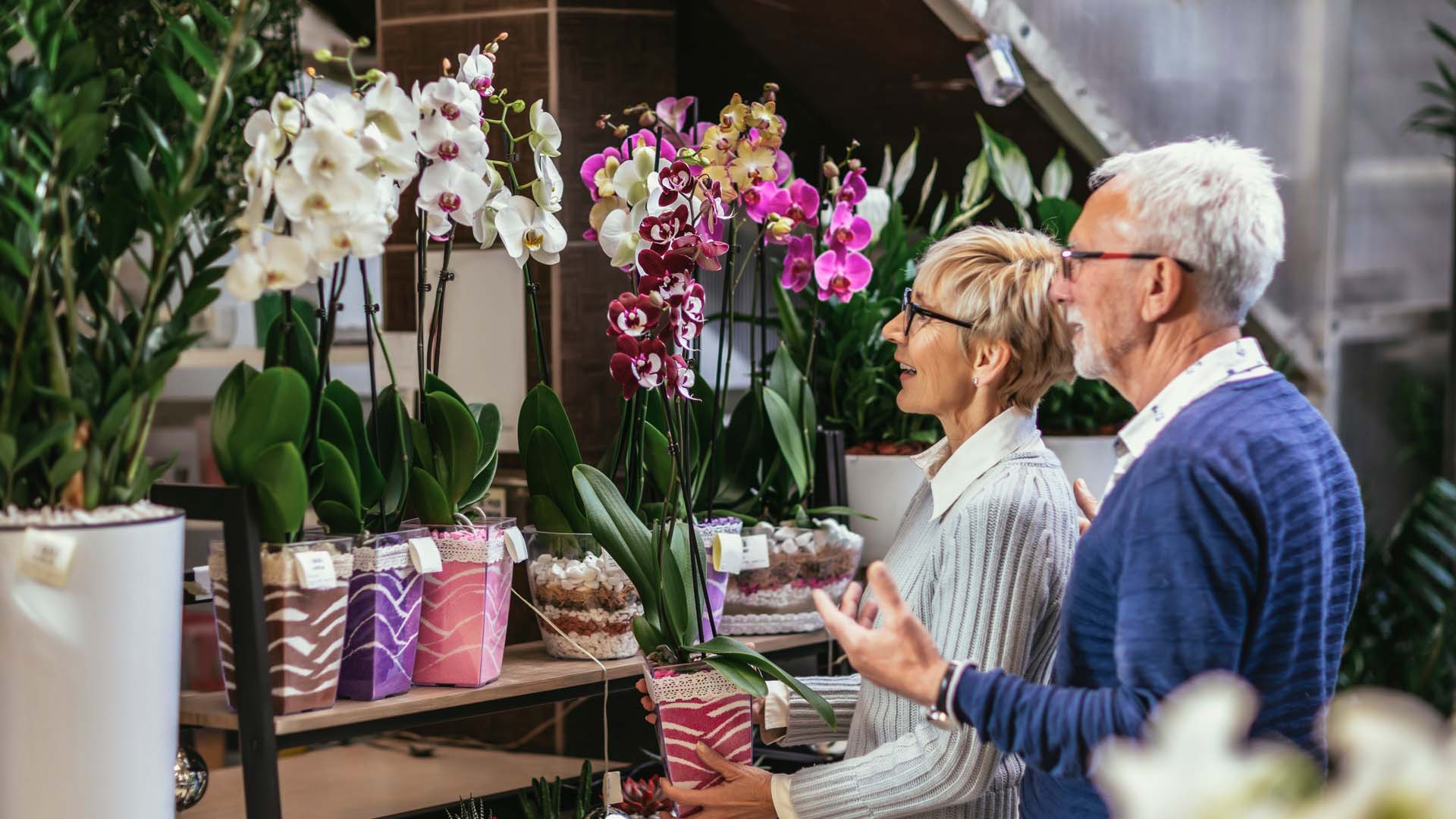 Senior couple are choosing potted plant at garden center