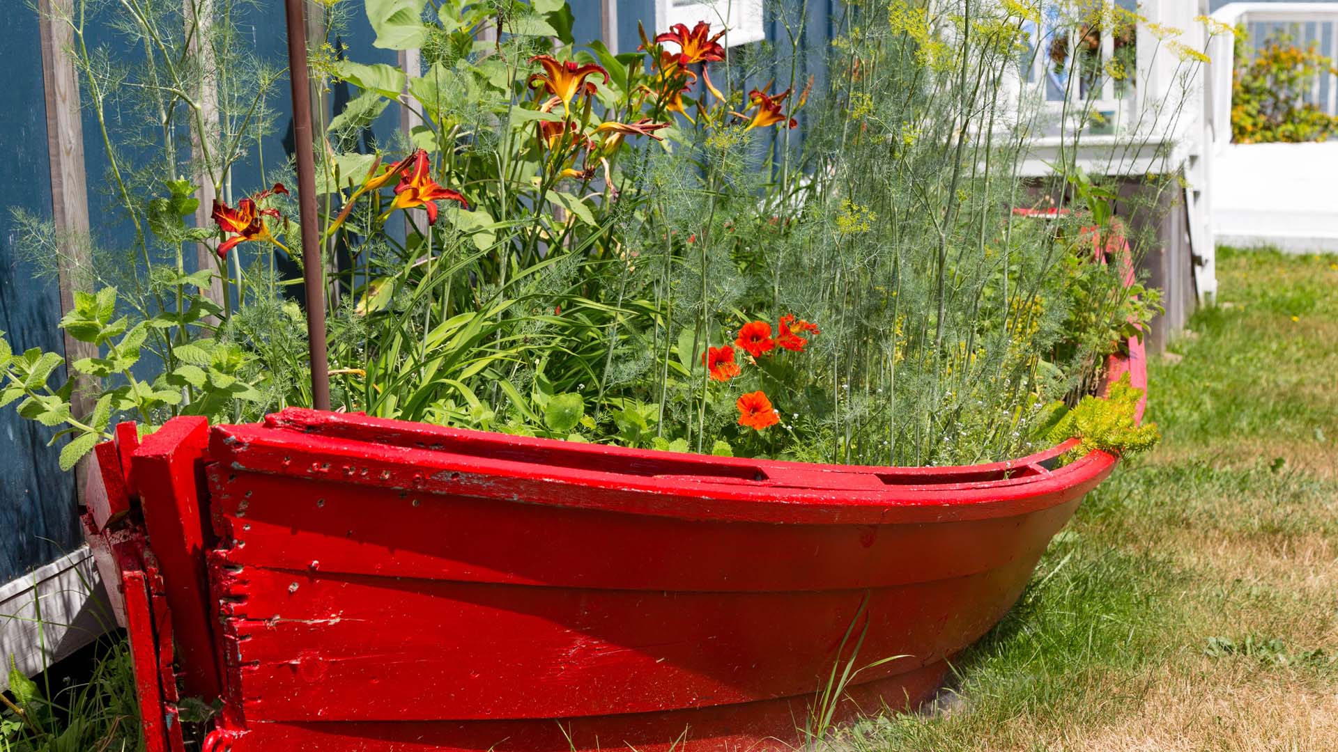 a small orange former wooden fishing boat being used as a flower planter