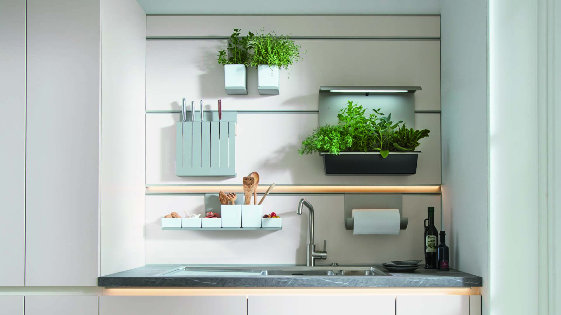 A kitchen sink area filled with plants on shelves
