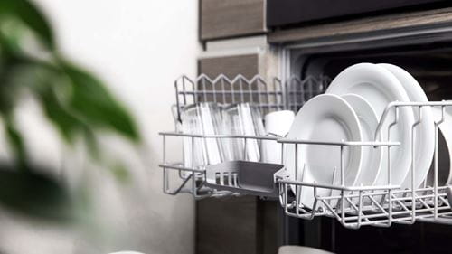 Plates in a dishwasher