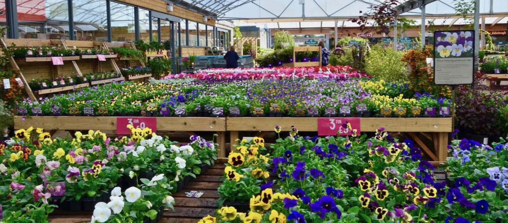 A garden centre display filled with colourful flowers |  Shutterstock/ Edinburgh City Mom