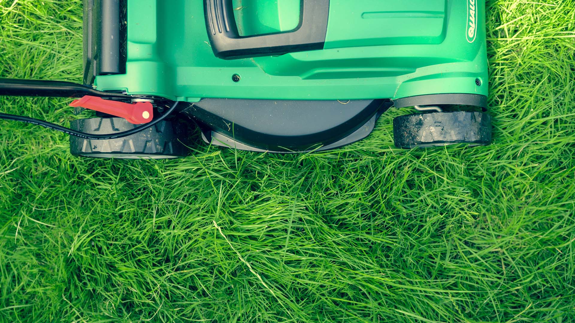 Mow your new grass higher than usual