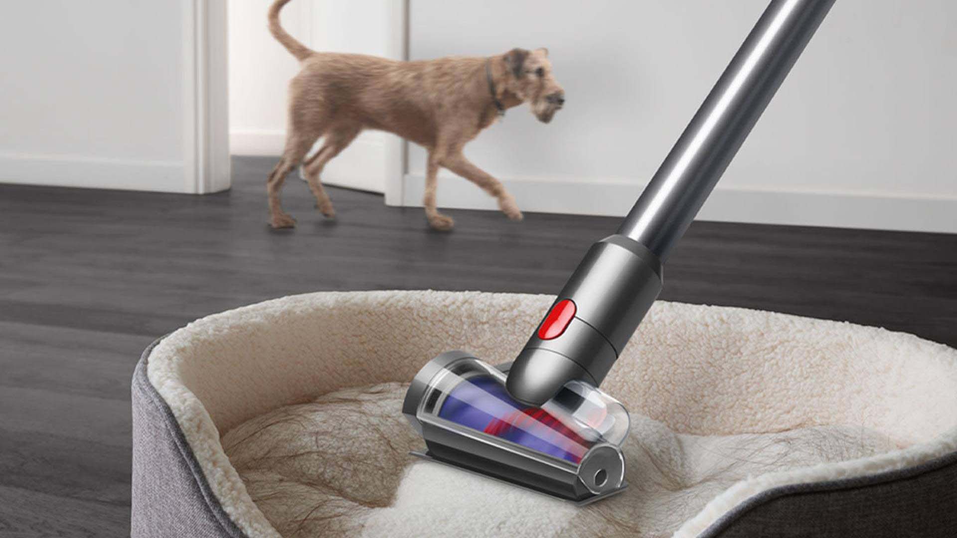 Various attachments are available for Dyson vacuum cleaners to help combat the spread of pet hair