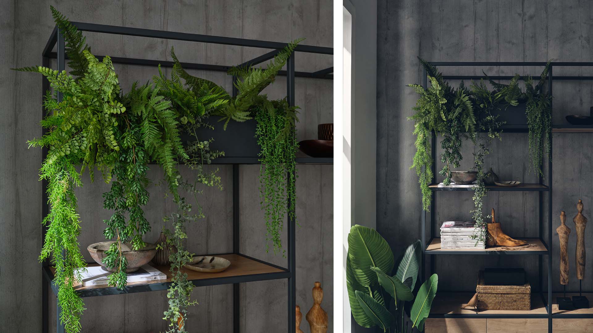 Shelves with plants