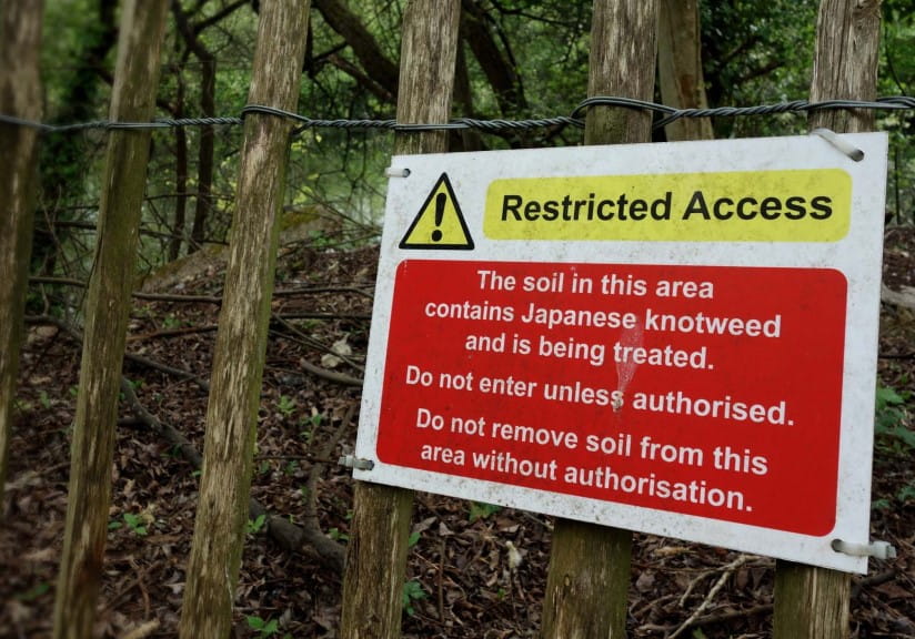Restricted access warning sign. Focus on sign, one side of frame. The soil in this area contain Japanese Knotweed being treated. Do not enter unless authorised - Do not remove soil without authorisation