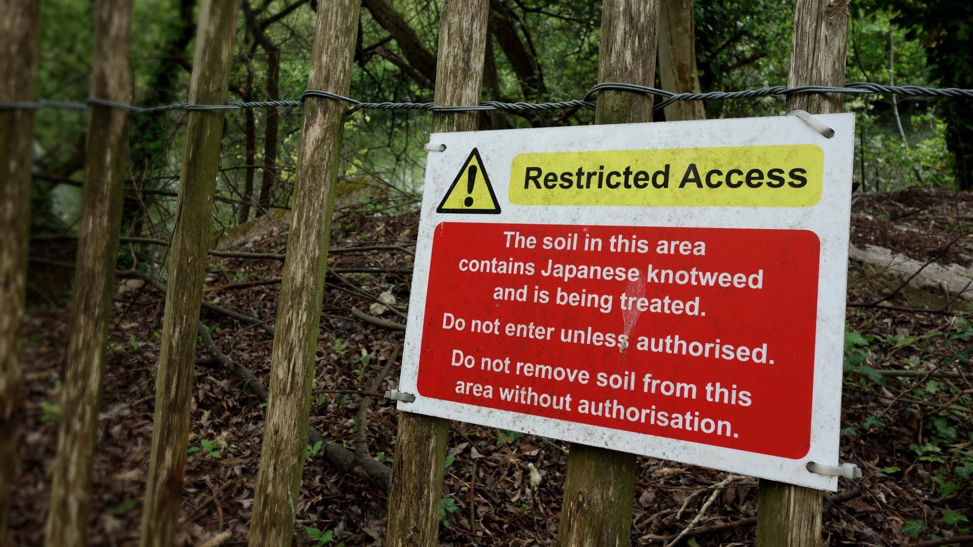 Restricted access warning sign. Focus on sign, one side of frame. The soil in this area contain Japanese Knotweed being treated. Do not enter unless authorised - Do not remove soil without authorisation