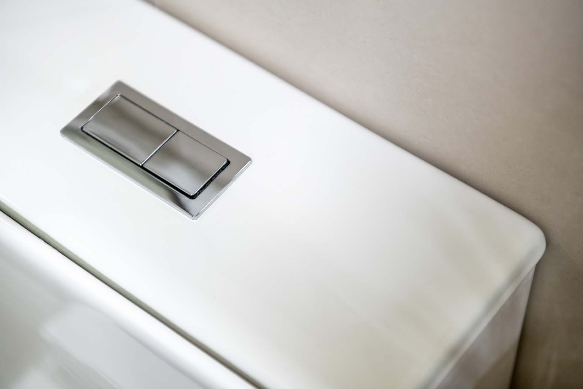 The cistern of a dual flush toilet