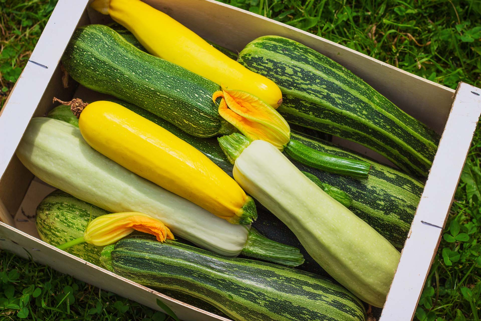 a cardboard box filled with fresh courgettes