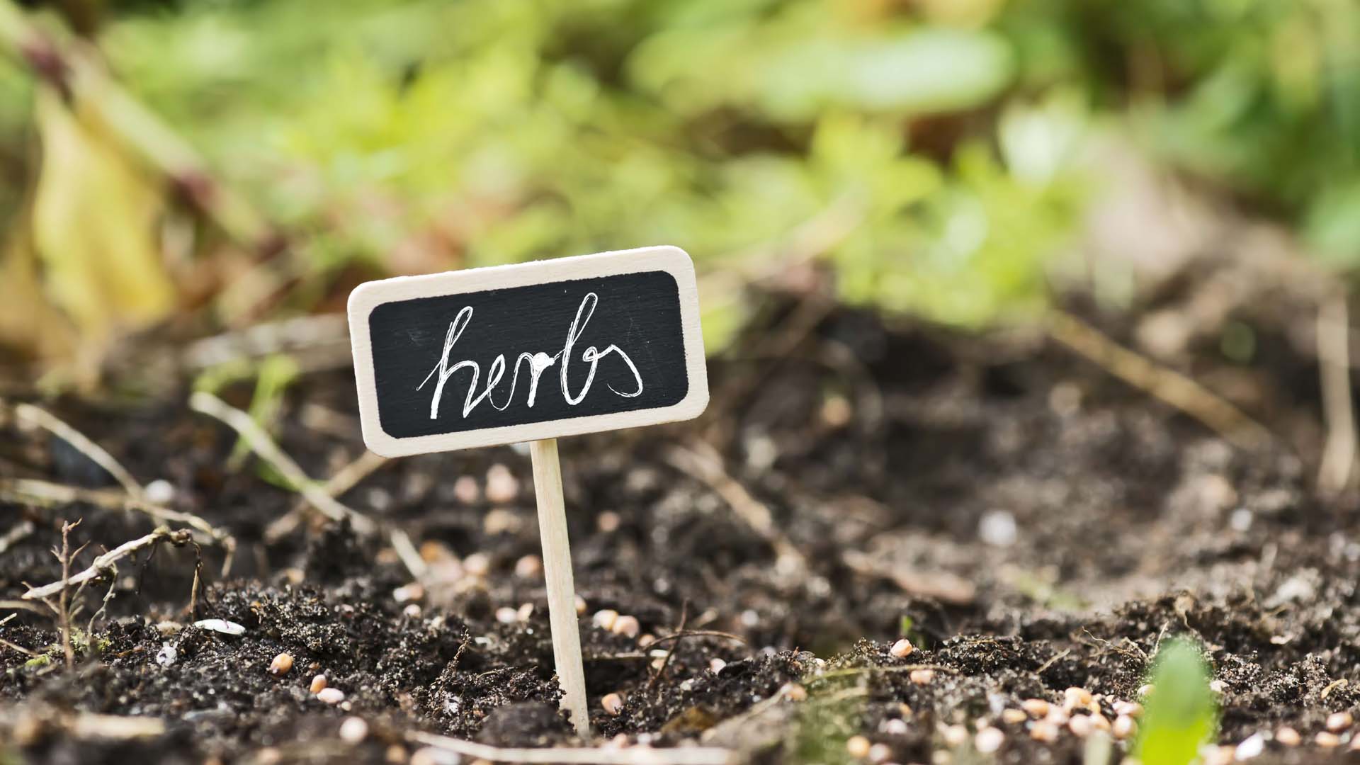 Sign to navigate sensory garden