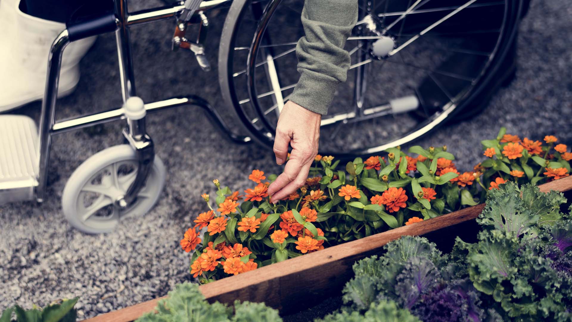 Wheelchair in sensory garden
