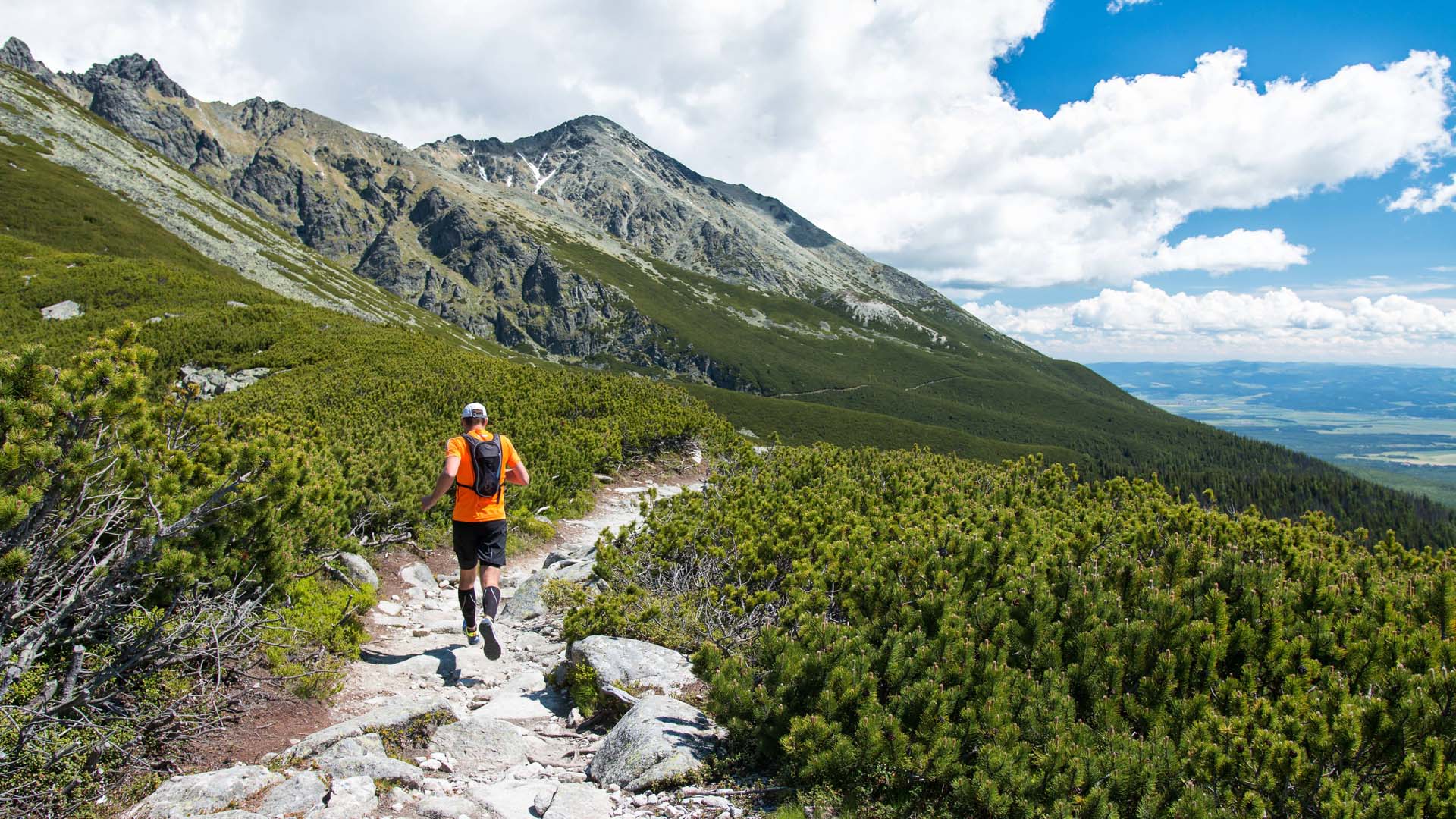 A trail runner wearing bright orange