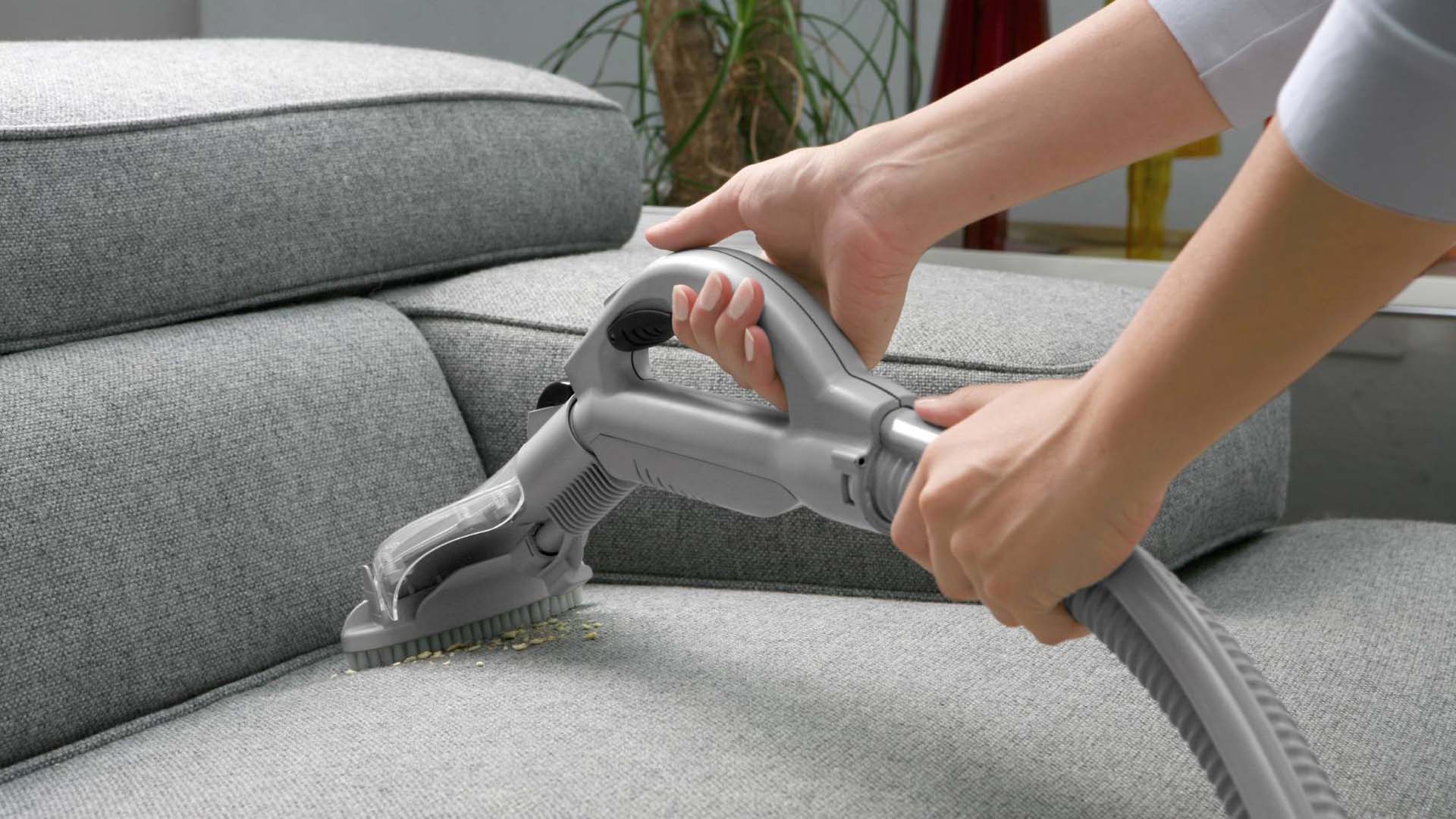 Vacuuming the sofa because of pets