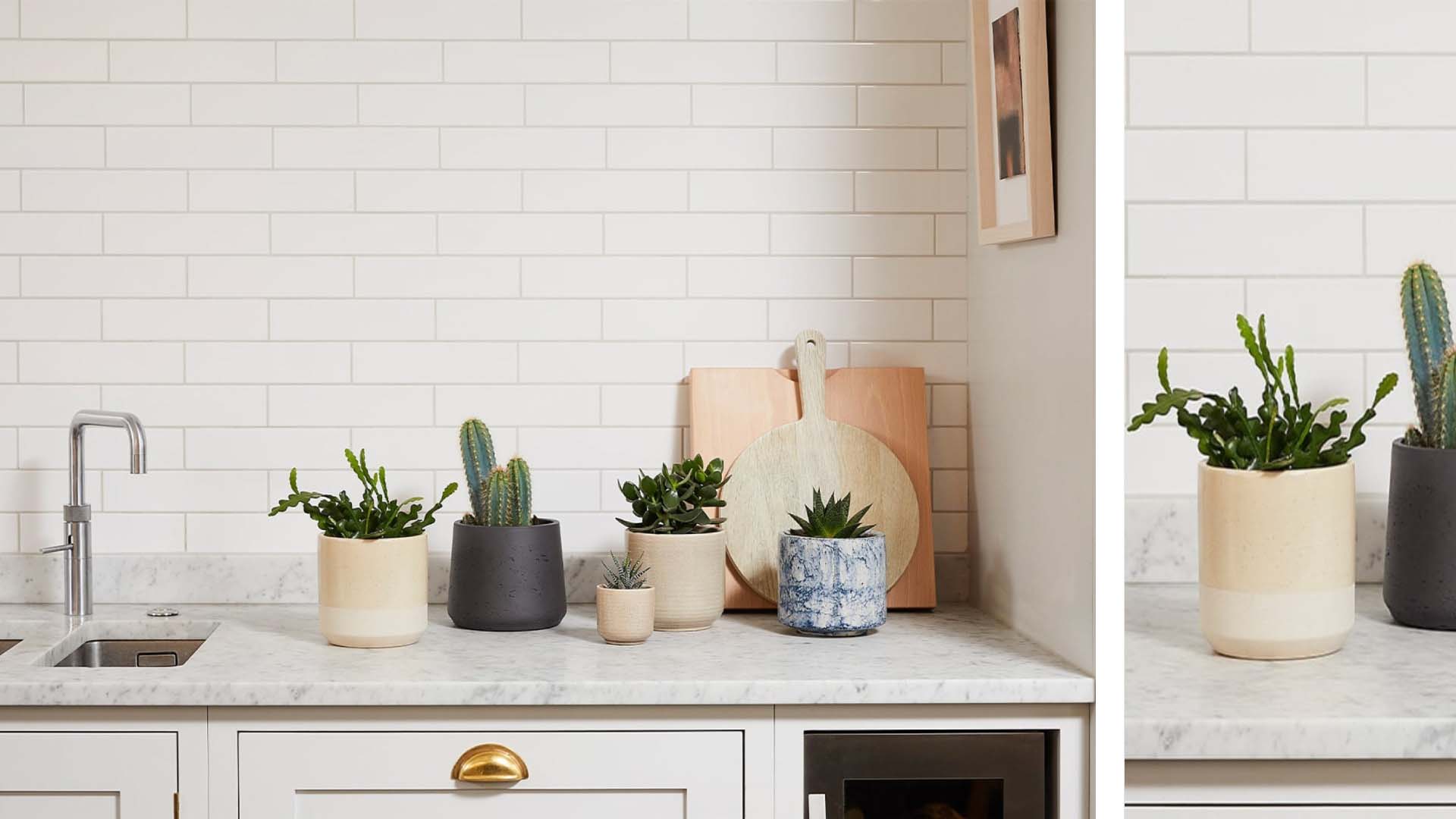 Mini cacti in small clay pots on top of a kitchen counter near the sink, with a white brick background