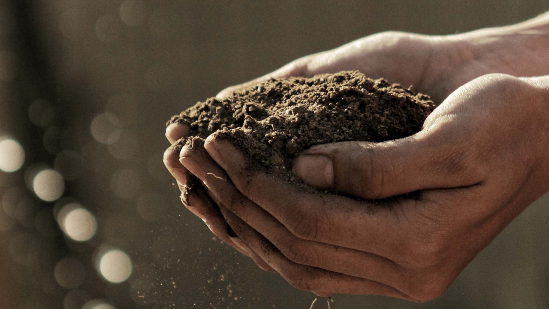 A close up of hands holding soil