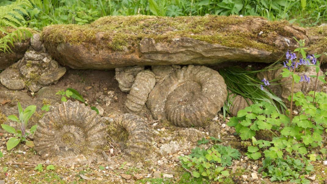 Fossils set into garden rockery