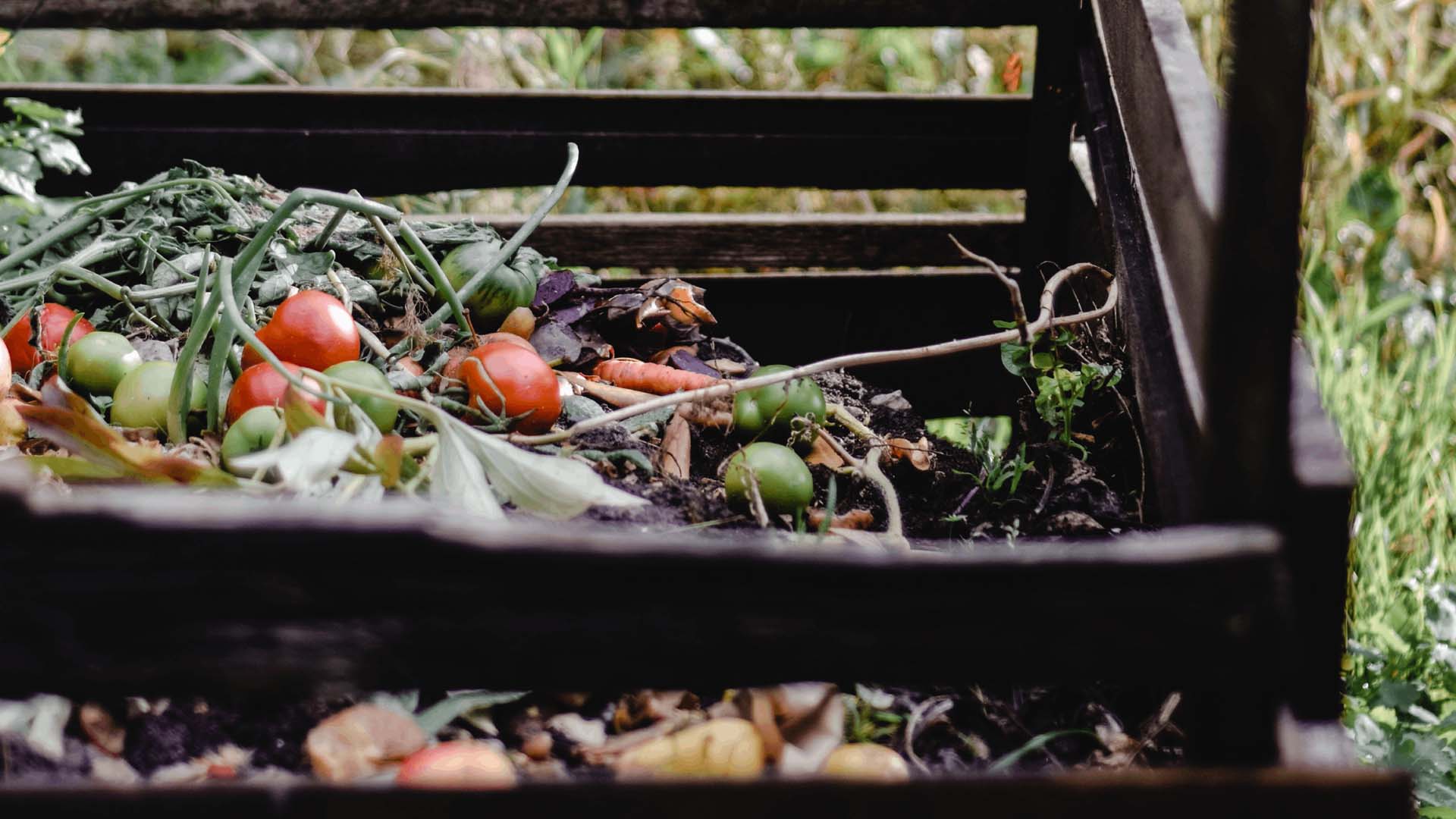 Compost wood box in a field