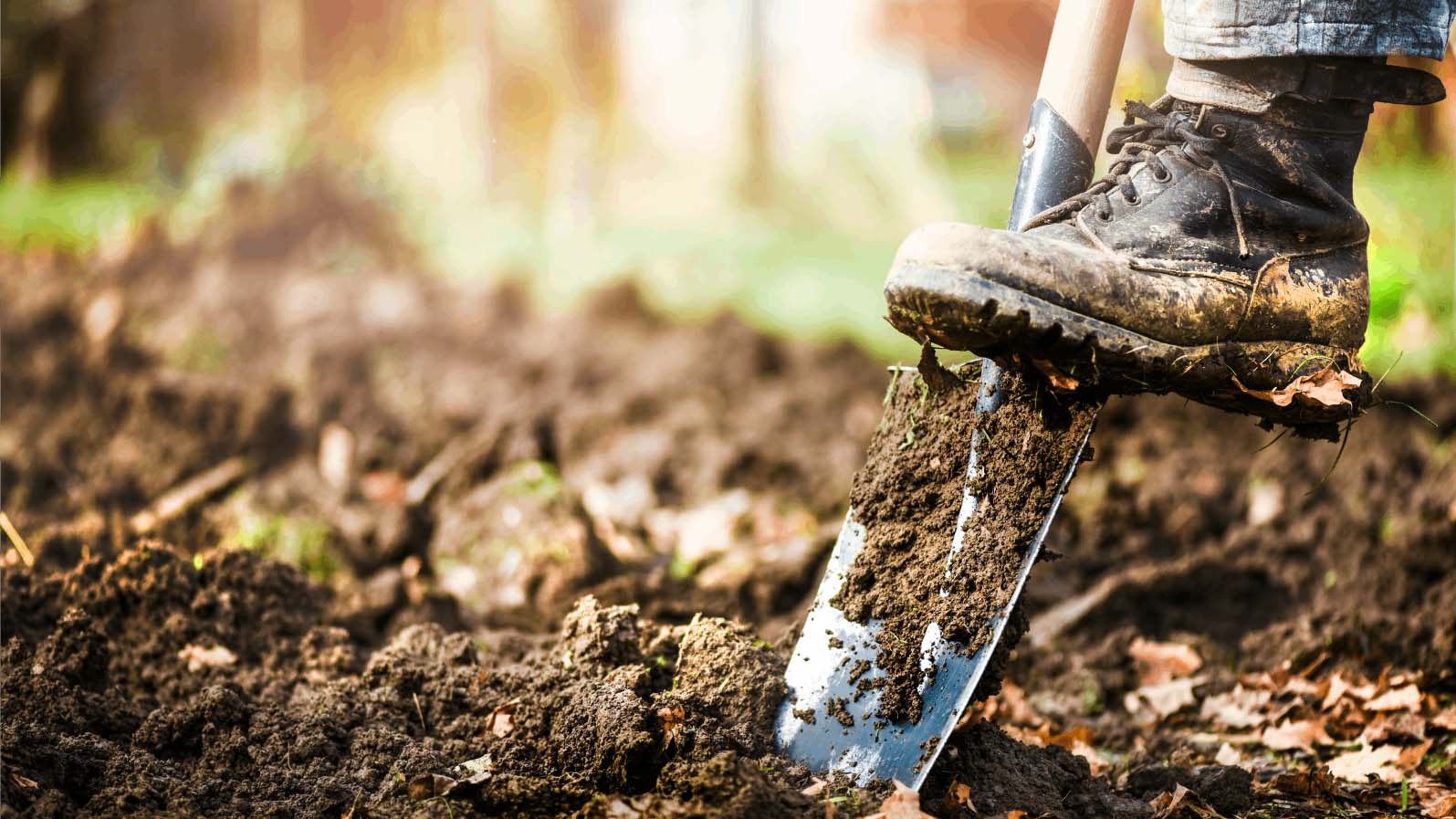 A close up of a spade digging in soil