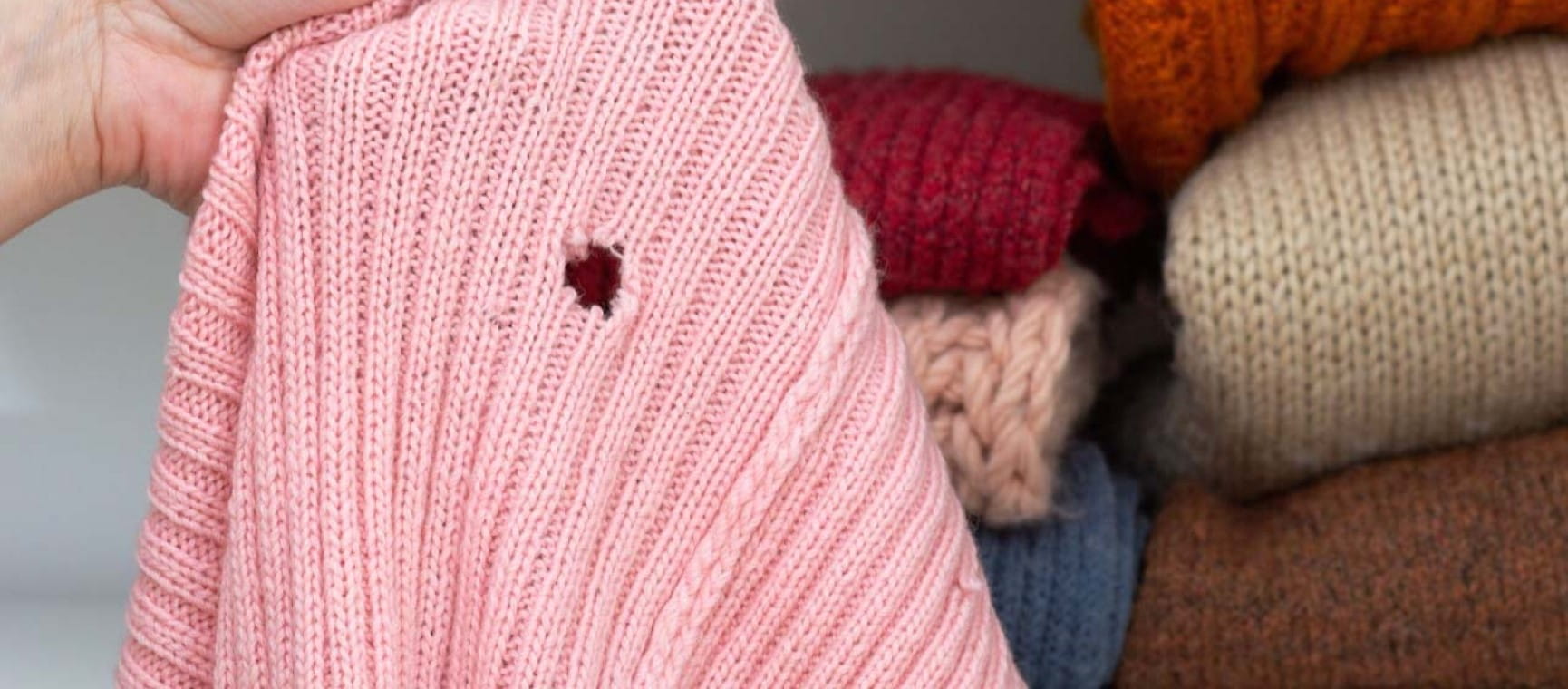 Cropped woman hand holding woolen knitted cloth with hole eaten by moth over wardrobe with stacks cloth on shelf