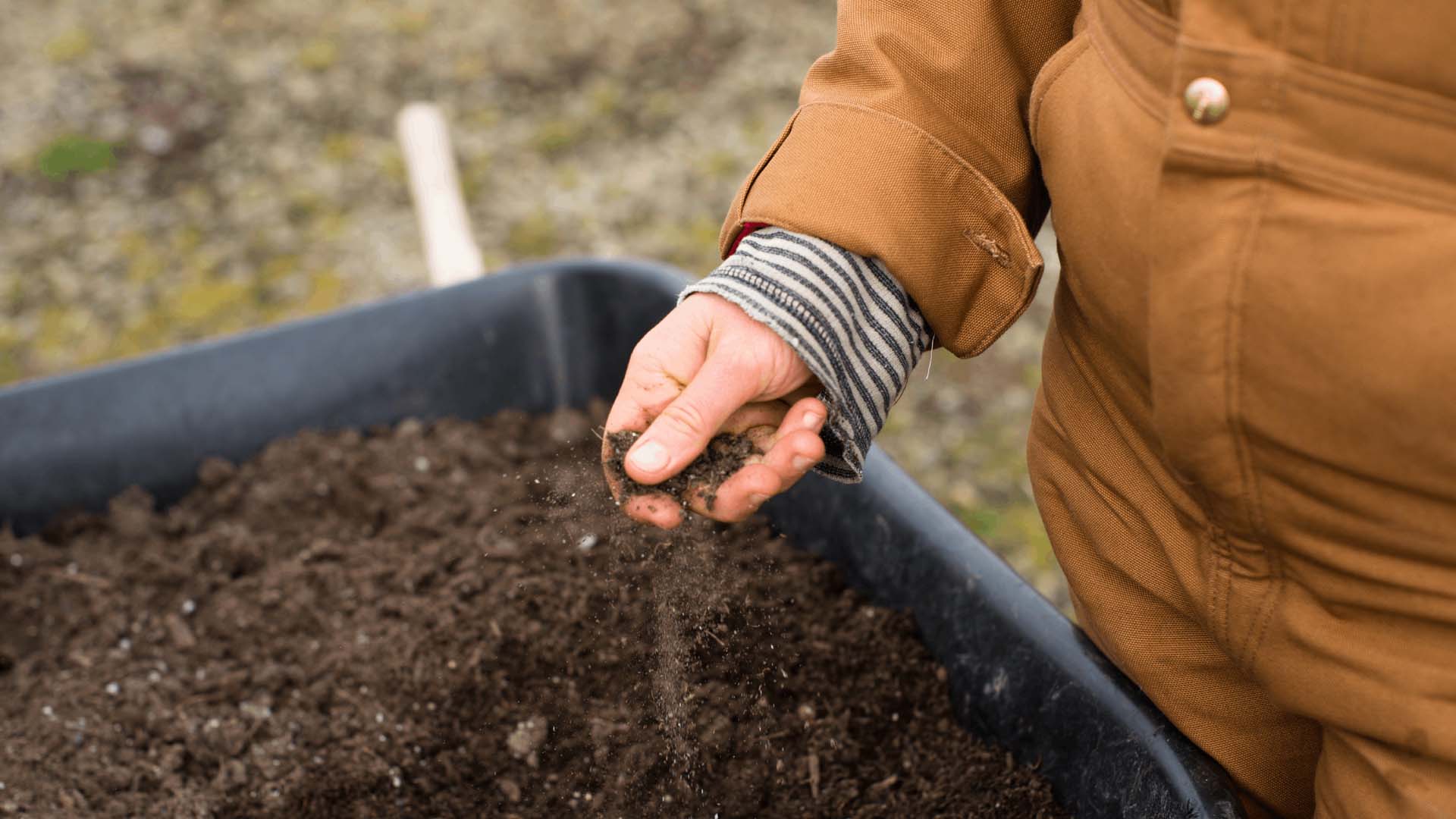 Close up of a person holding soil