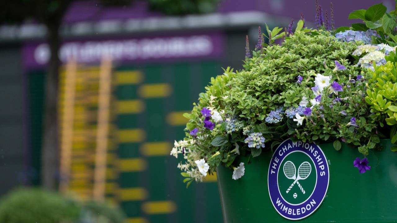 General view of flowers at Wimbledon