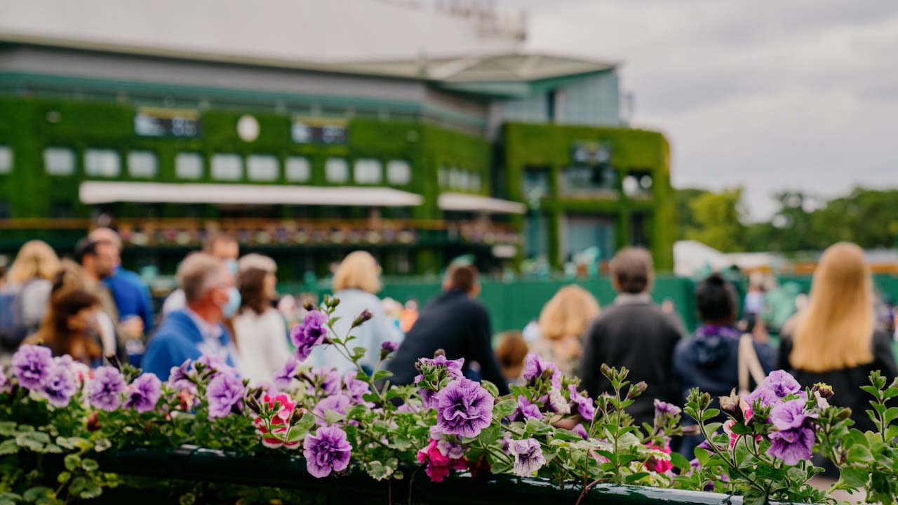 Flowers overlooking on Court 8 during The Championships
