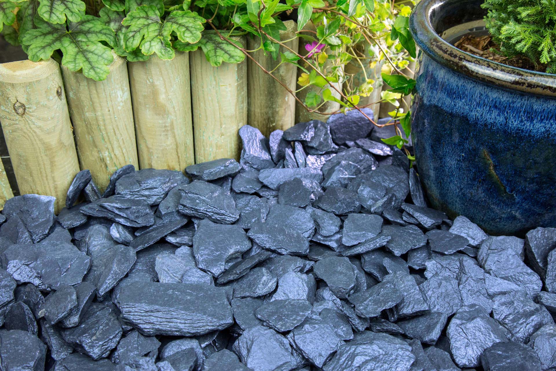 Blue slate decorative chippings against a garden border