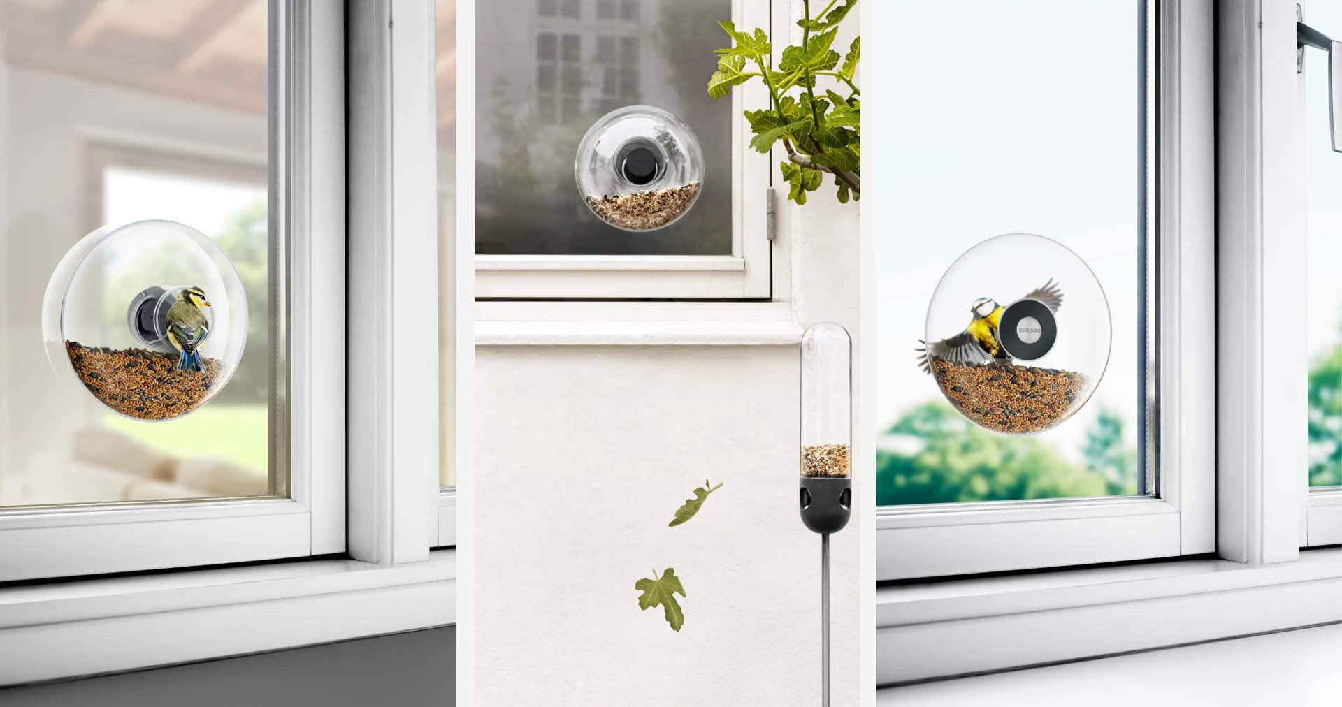 Several images of a window bird feeder