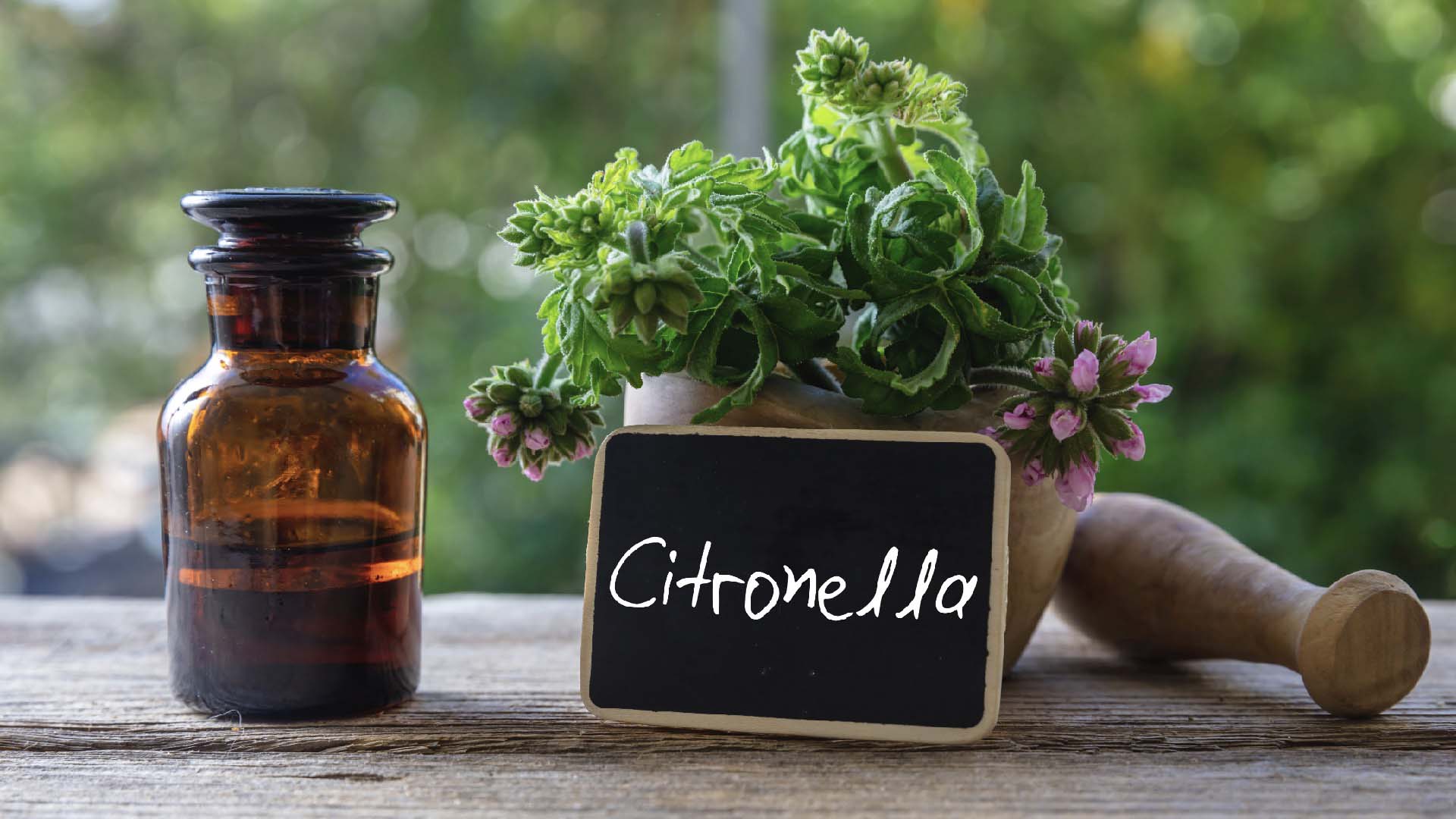 A jar of essential oil next to a plant