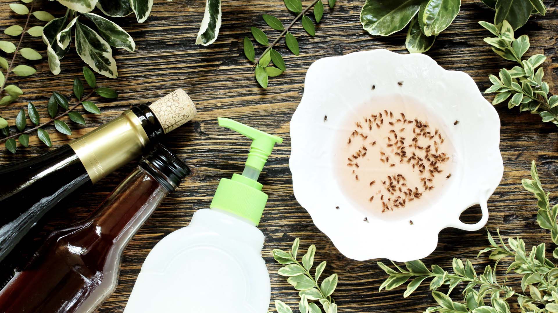 A flat lay of oil and lotion