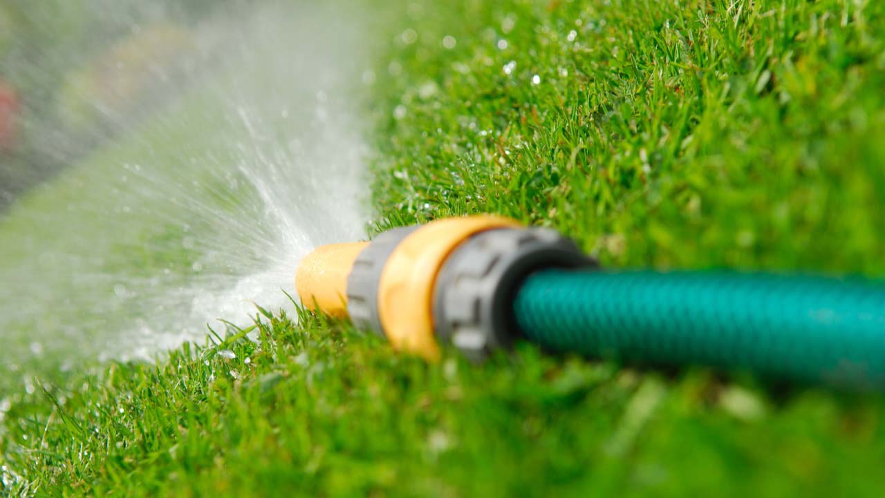 Hosepipe watering the grass