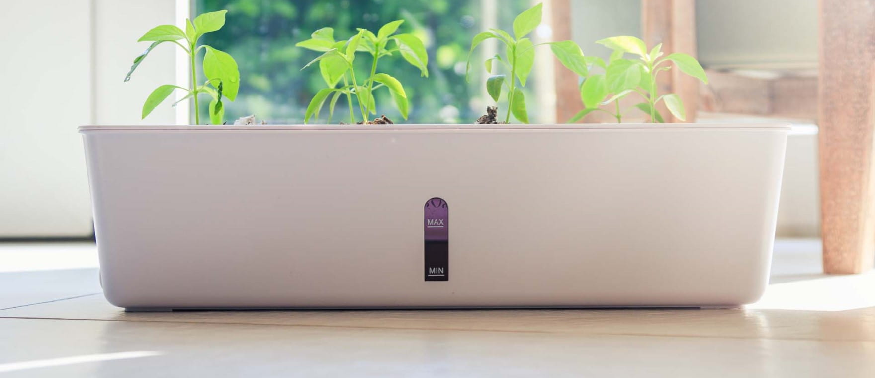 A self watering planter |  Shutterstock/dennispentek 