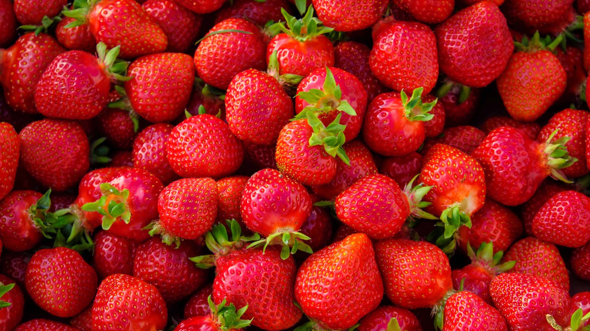 Lots of strawberries, which benefit your health in many ways.