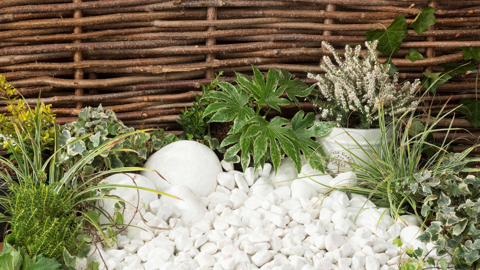 White pebble gravel of varying sizes between plants