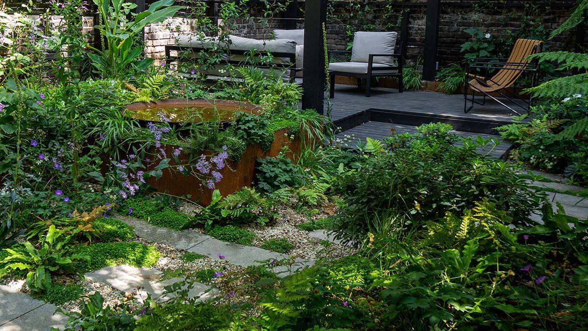 lots of plants in a shaded garden