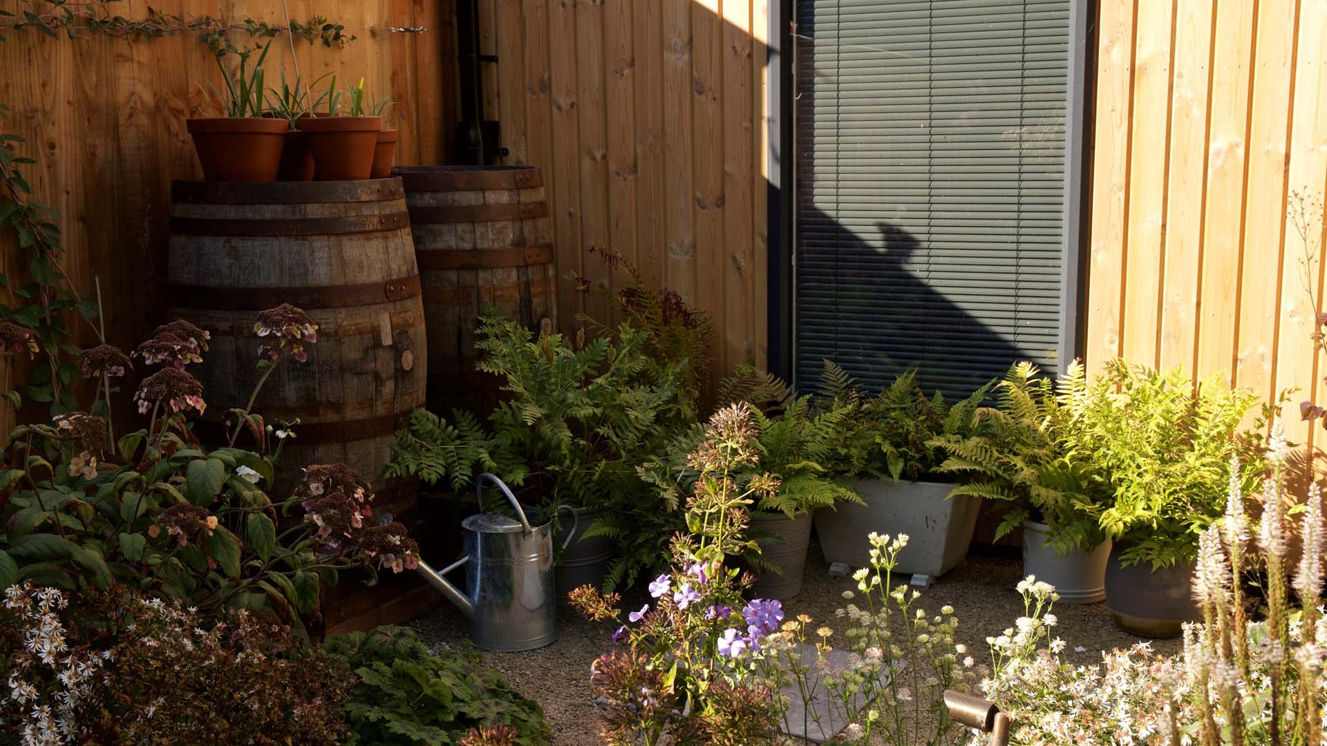 planted barrels in a shady garden