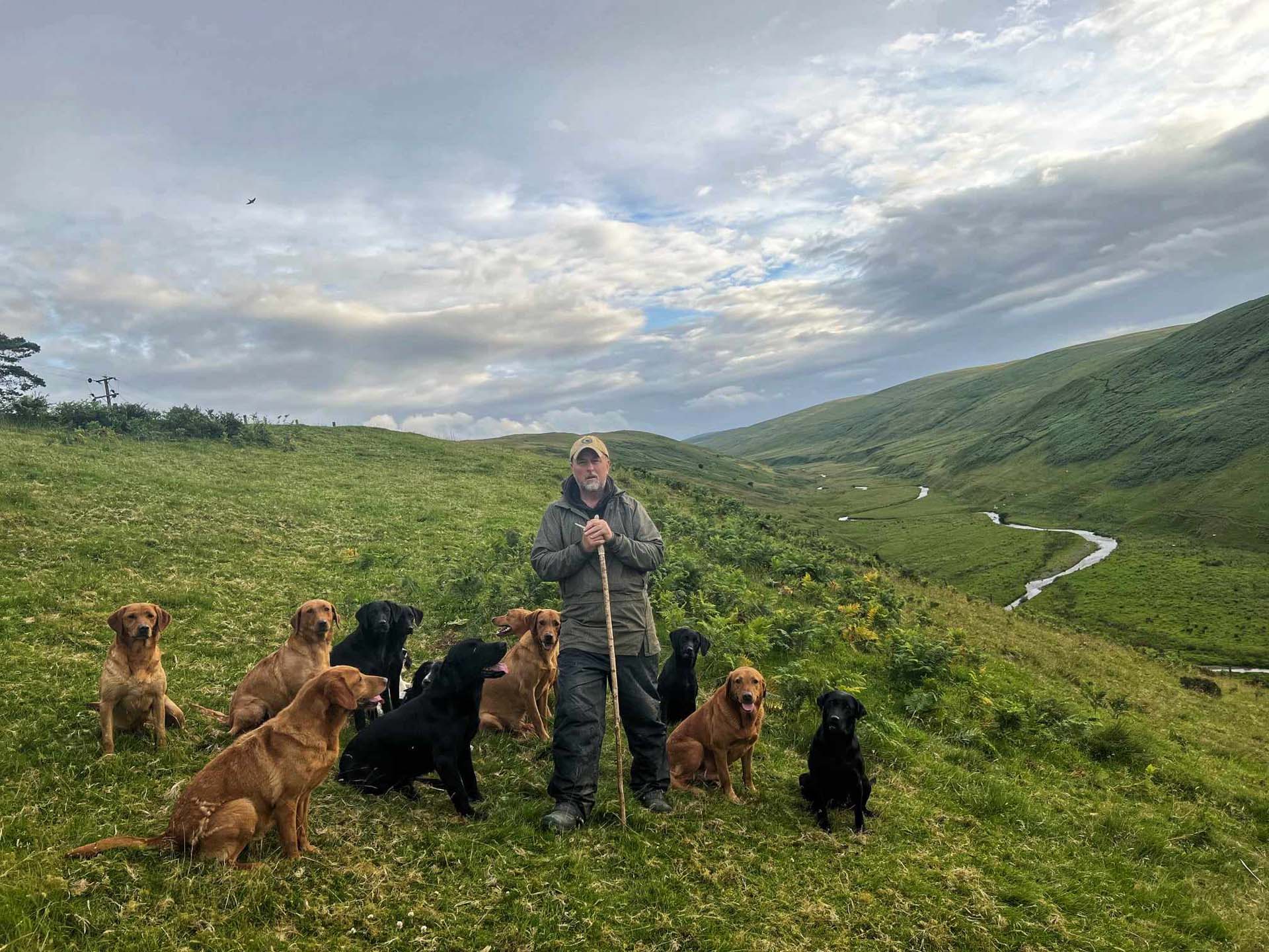 A man in walking attire standing on a hillside surrounded by a group of dogs